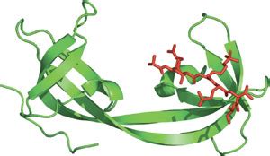 tudor domain chromatin|tudor domain proteins.